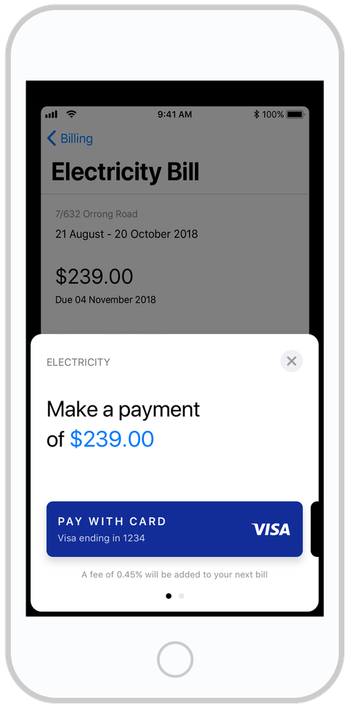 Native-Payments-1.png