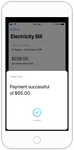 Native-Payments-4.png