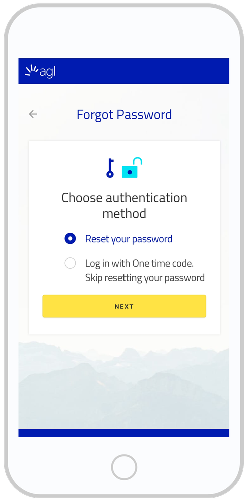 Password Rest 02.png