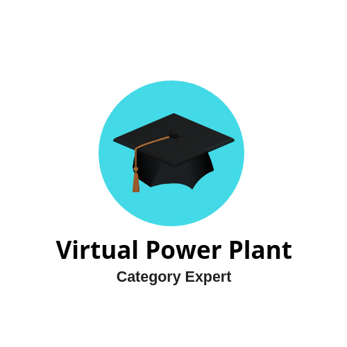 VPP Category Expert.png