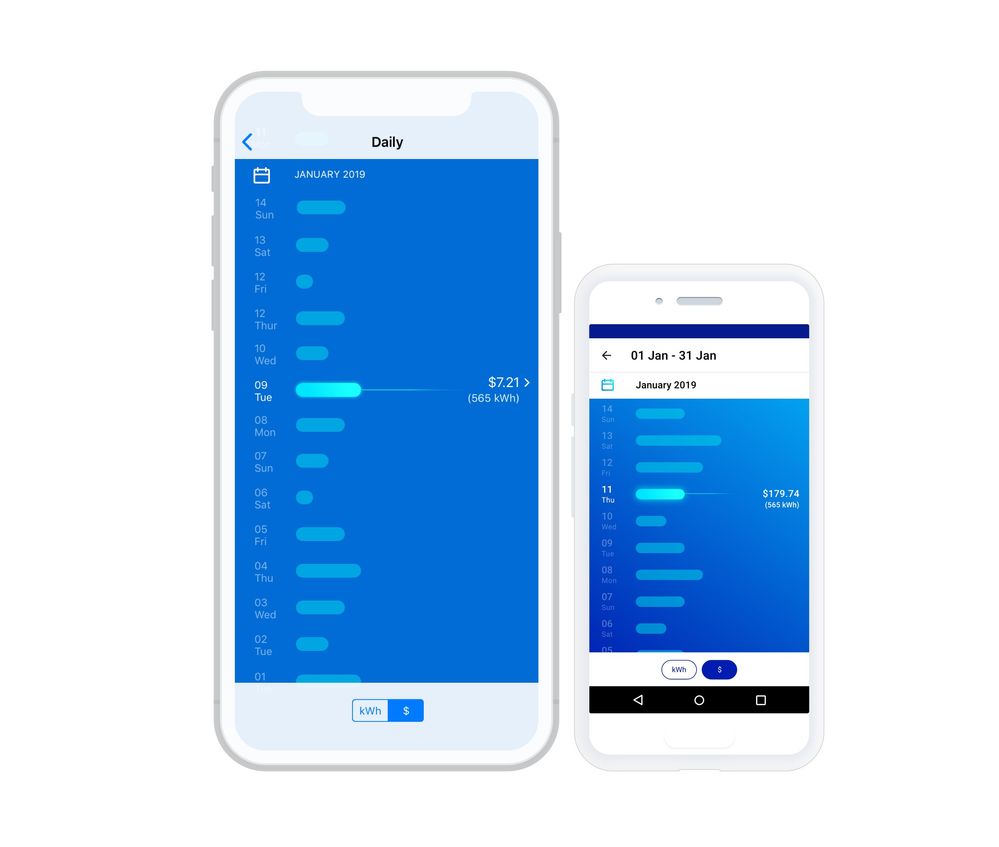 Under your daily or hourly usage you simply click on the $ / kWh toggle switch.