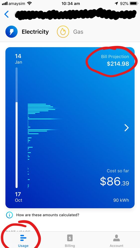 InkedBill projection_LI.jpg
